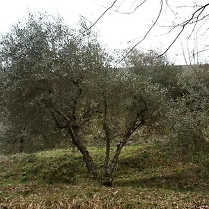 Tradizione Toscana Ristrutturata Nel 2021 Barga